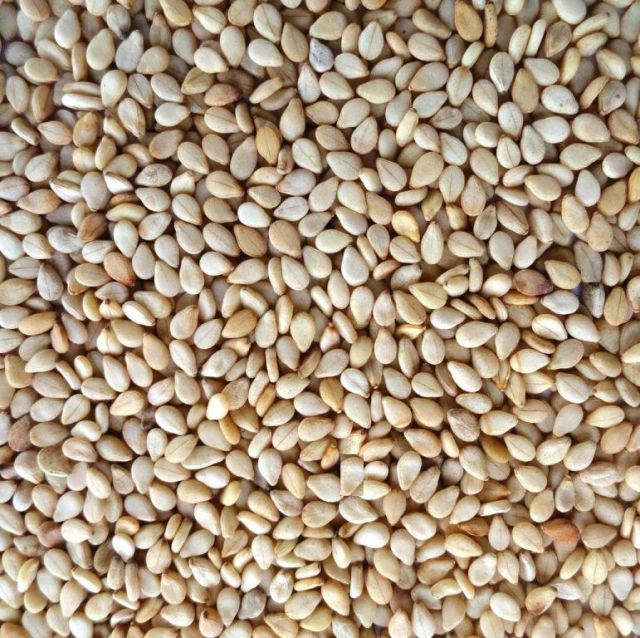 Sesame Somalia